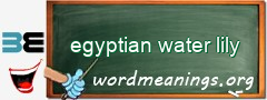 WordMeaning blackboard for egyptian water lily